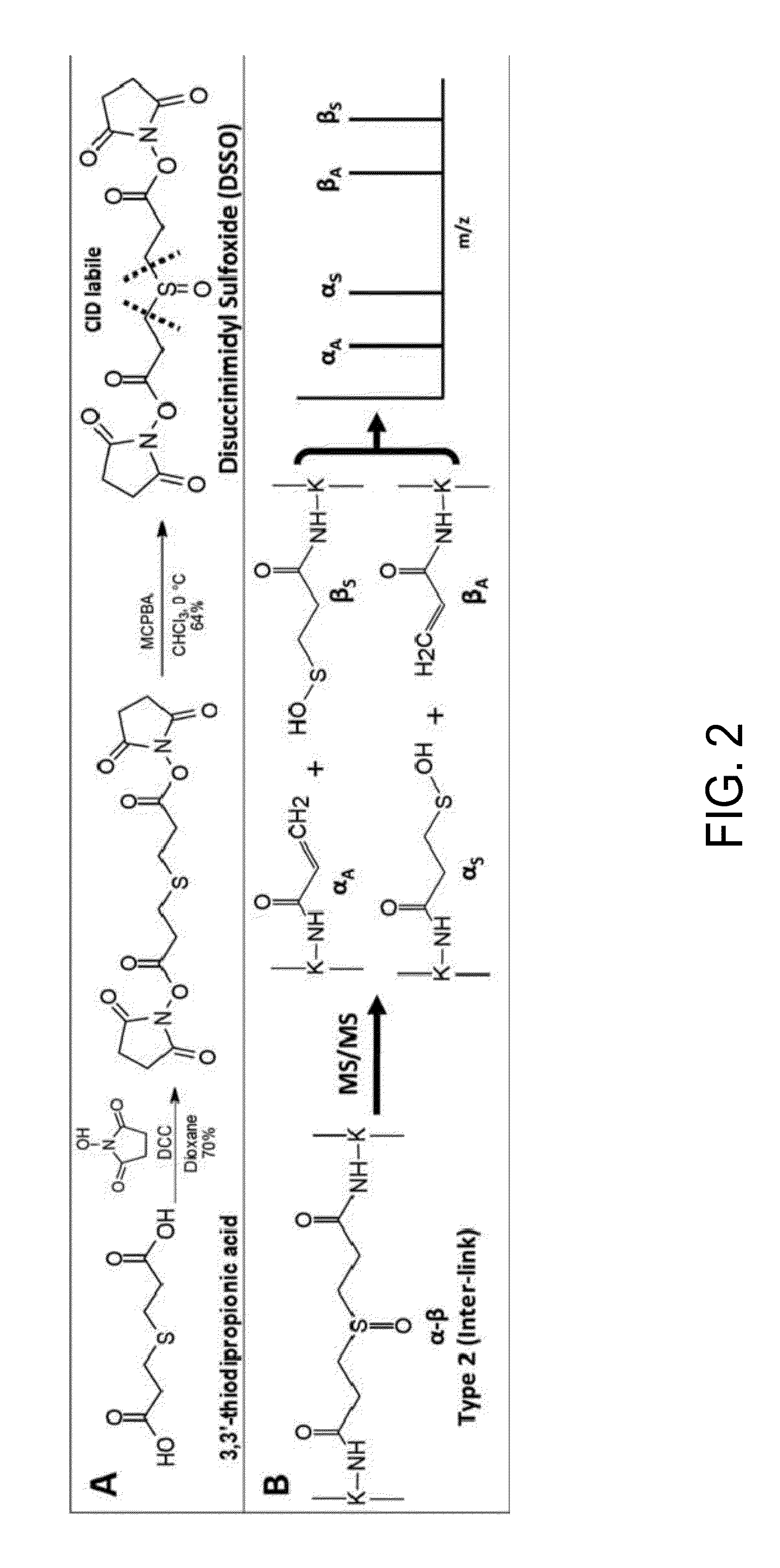 Mass spectrometry-cleavable cross-linking agents to facilitate structural analysis of proteins and protein complexes, and method of using same