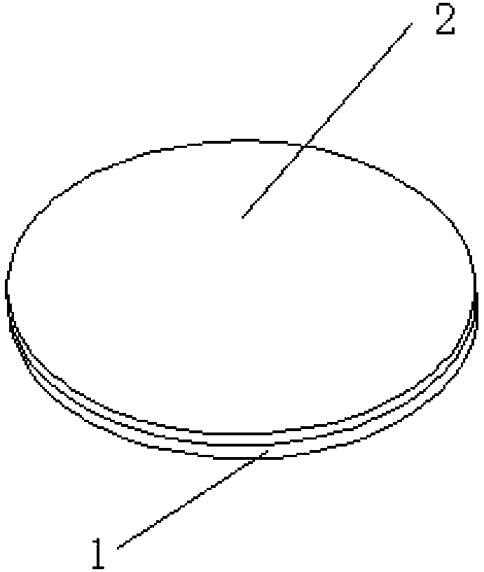 Method for front face protection in back face implantation of semiconductor wafer