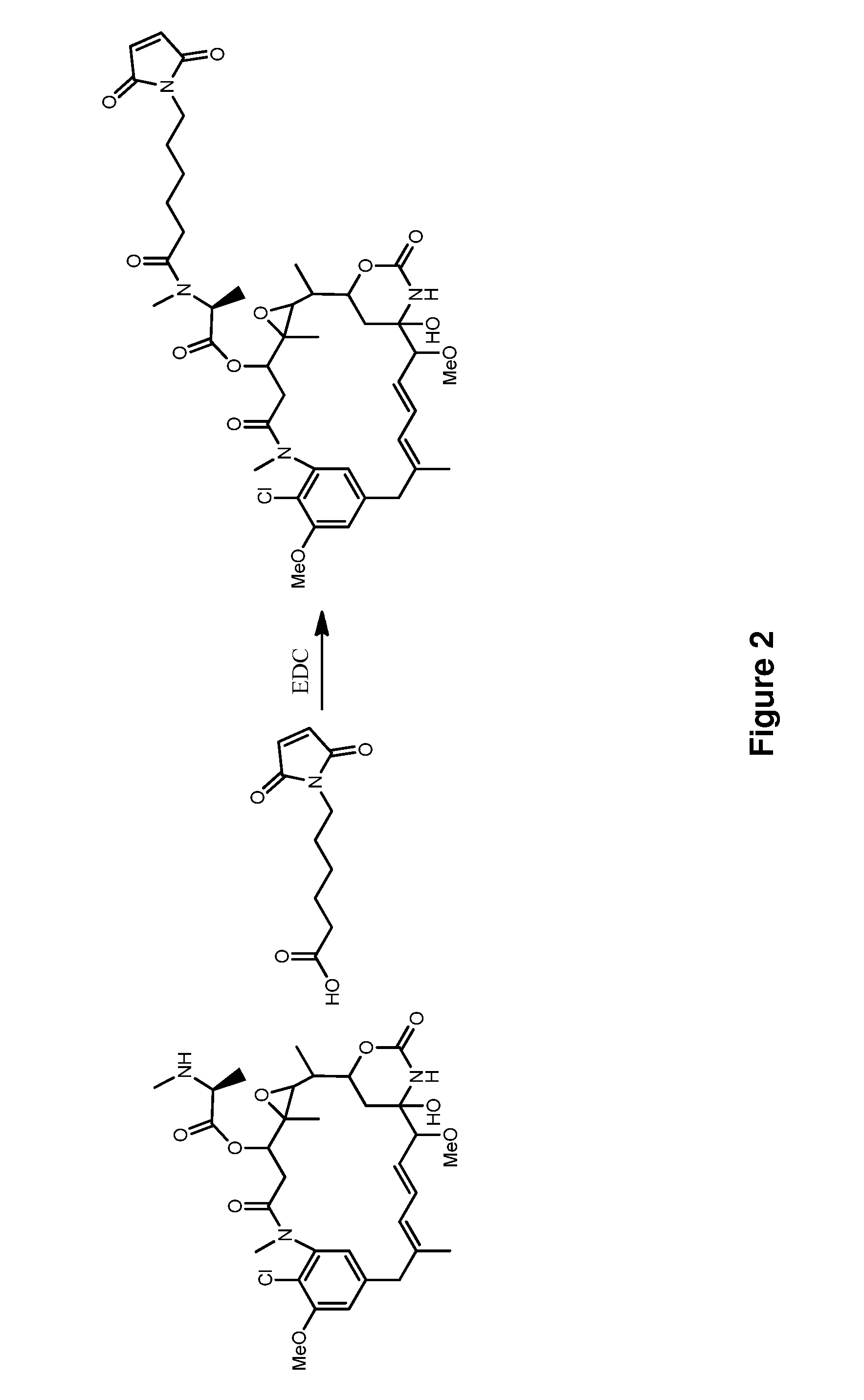 Methods for the acylation of maytansinol