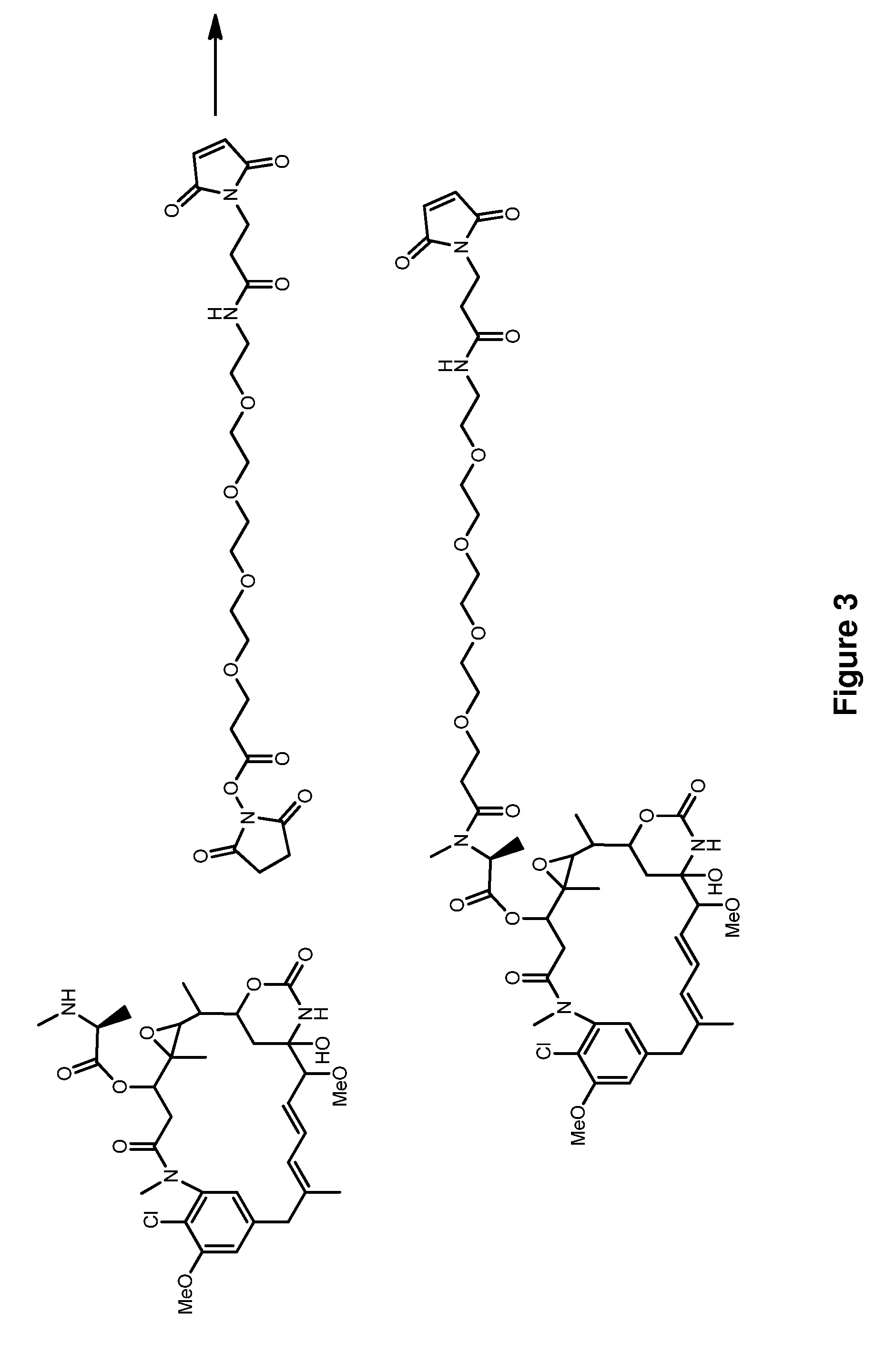 Methods for the acylation of maytansinol