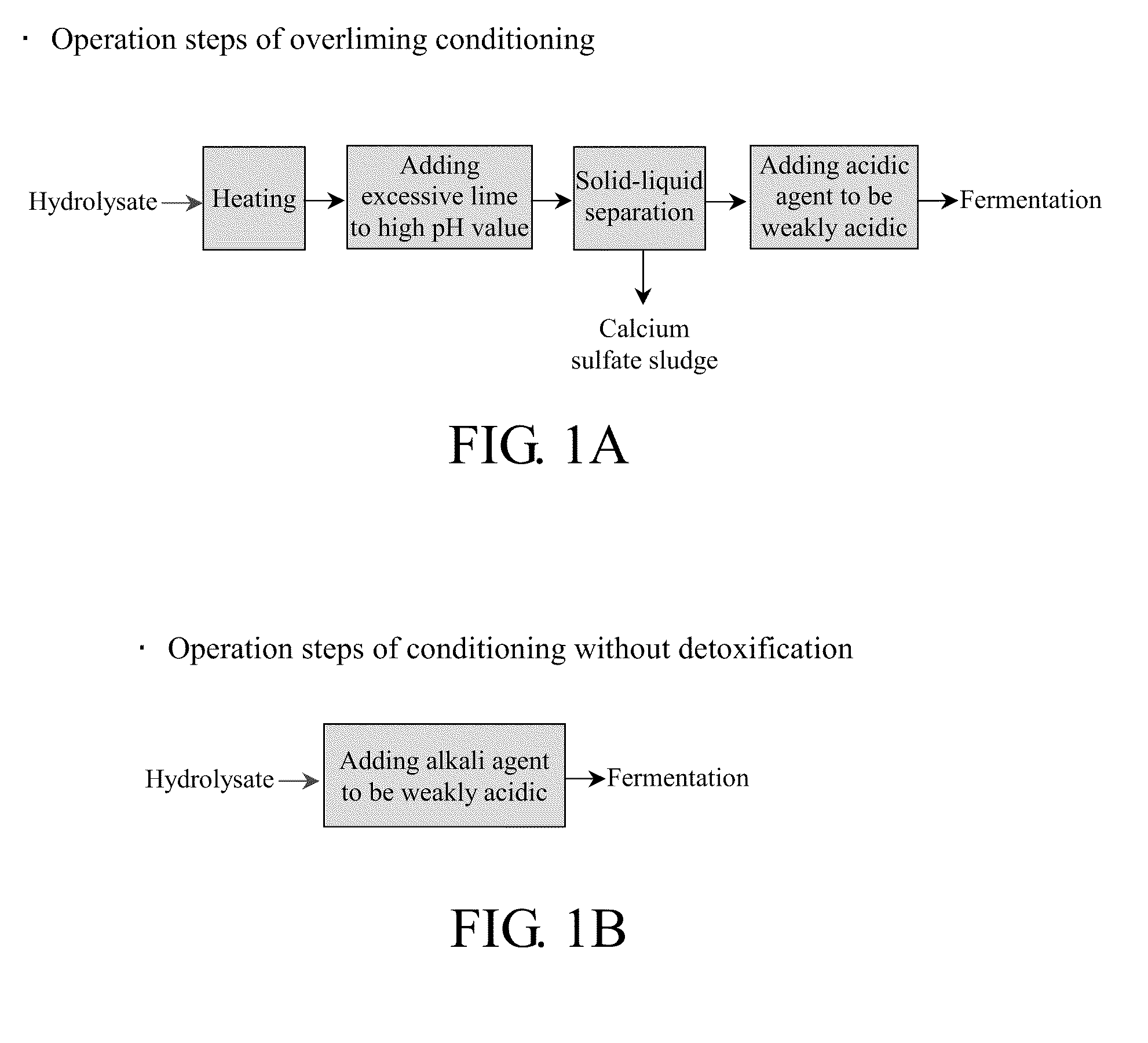 Method for producing xylitol from lignocellulosic hydrolysates without detoxification