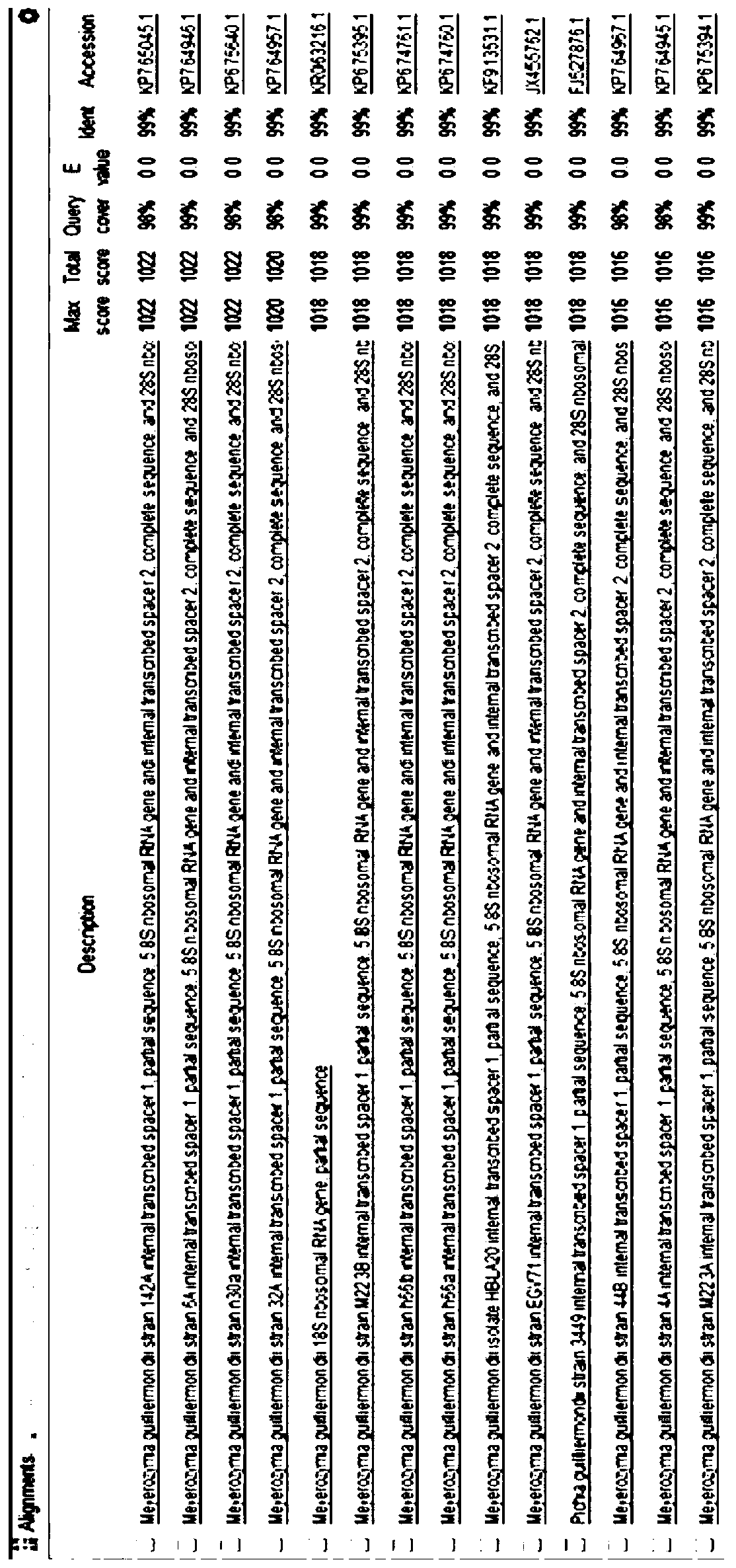 A kind of high sugar tolerance Pichia mongolica strain and its application