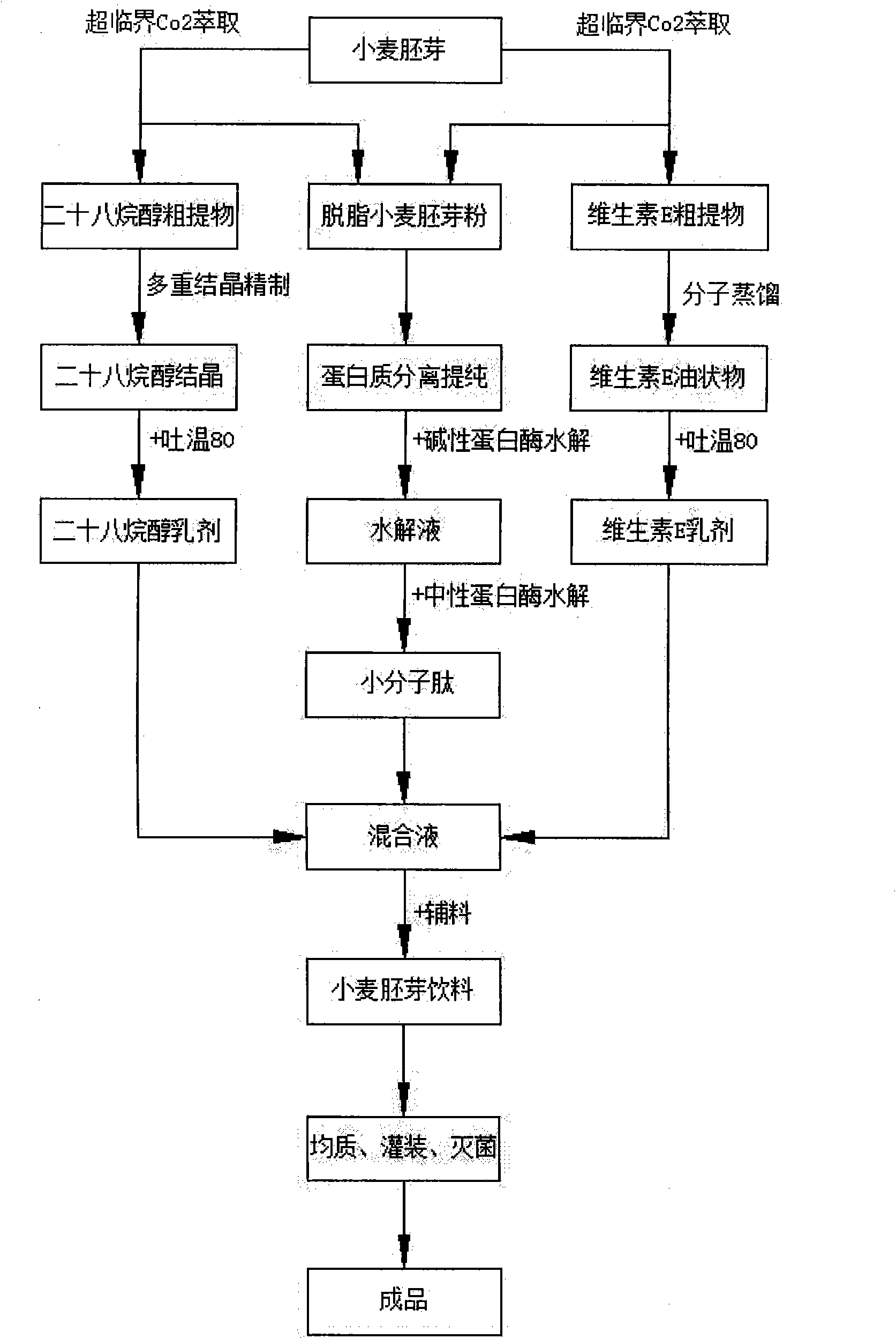 Wheat germ drink and preparation method thereof