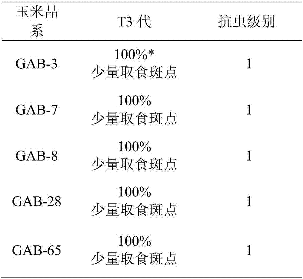 Pest and glyphosate resistant expression vector, and plasmid and application thereof