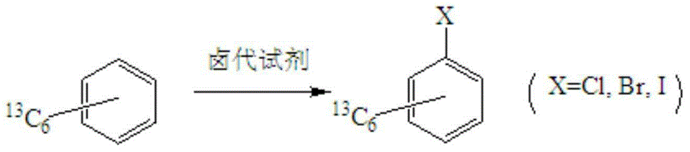 Synthetic method for stable isotope labeled halobenzene
