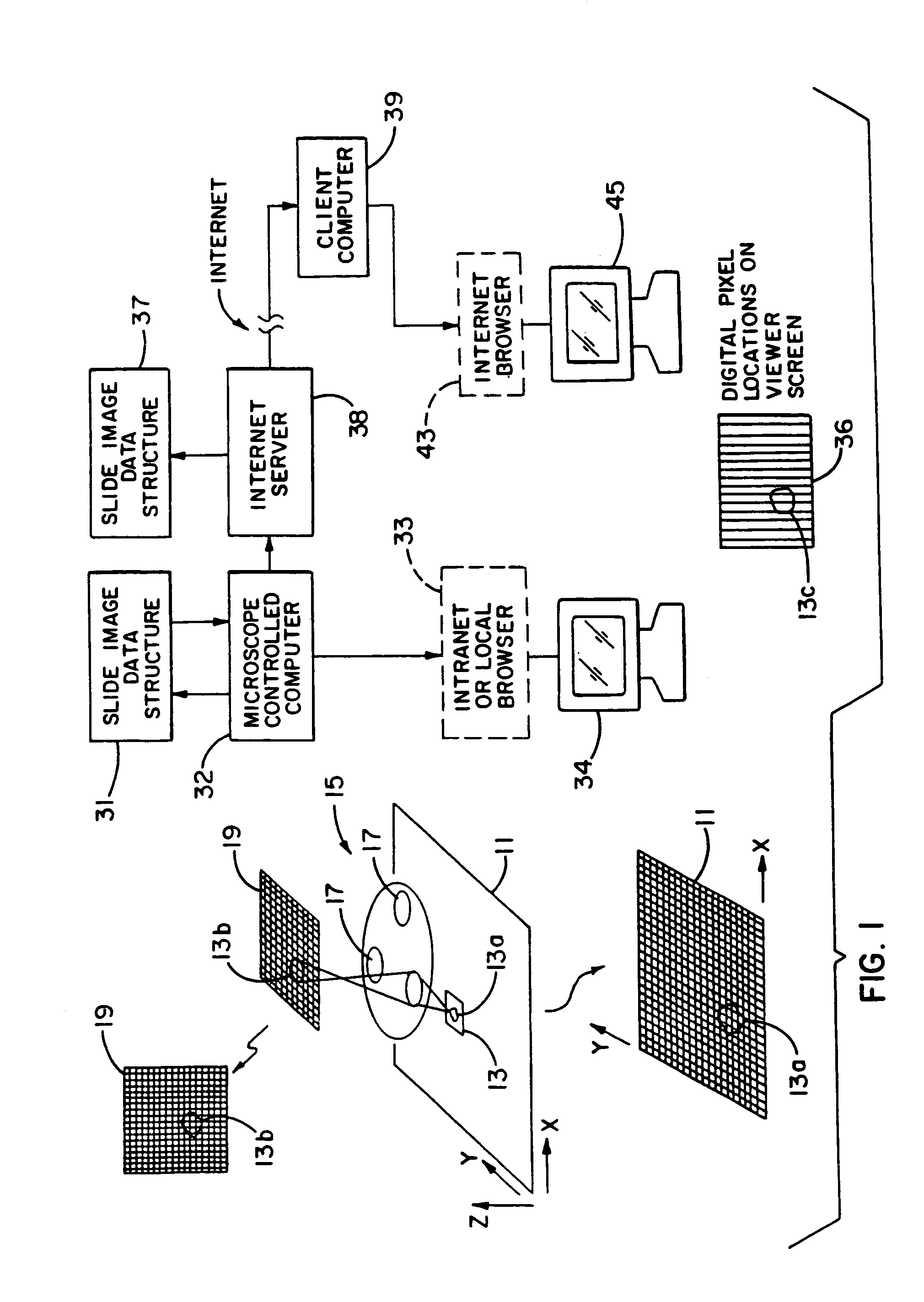 Method and apparatus for internet, intranet, and local viewing of virtual microscope slides
