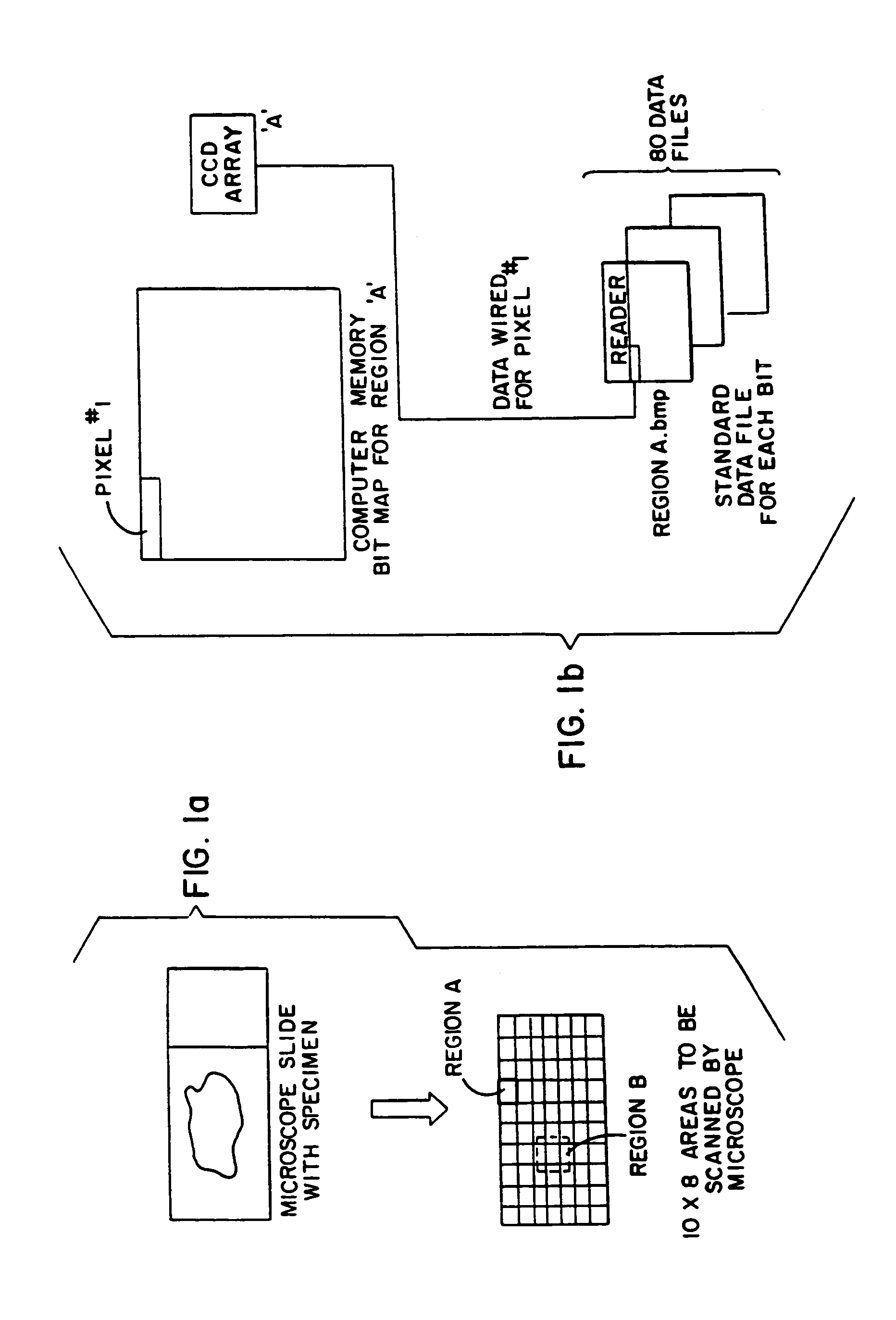 Method and apparatus for internet, intranet, and local viewing of virtual microscope slides