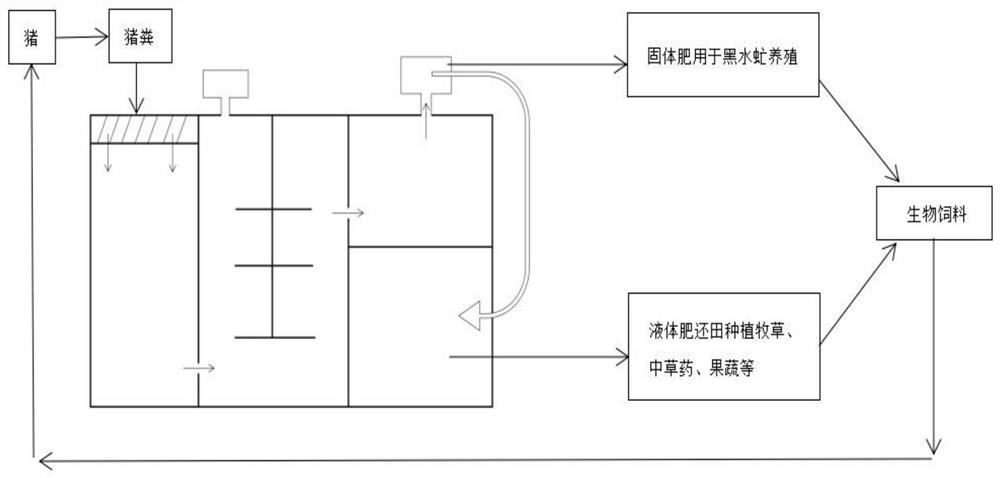 Pig manure biological treatment process and utilization method