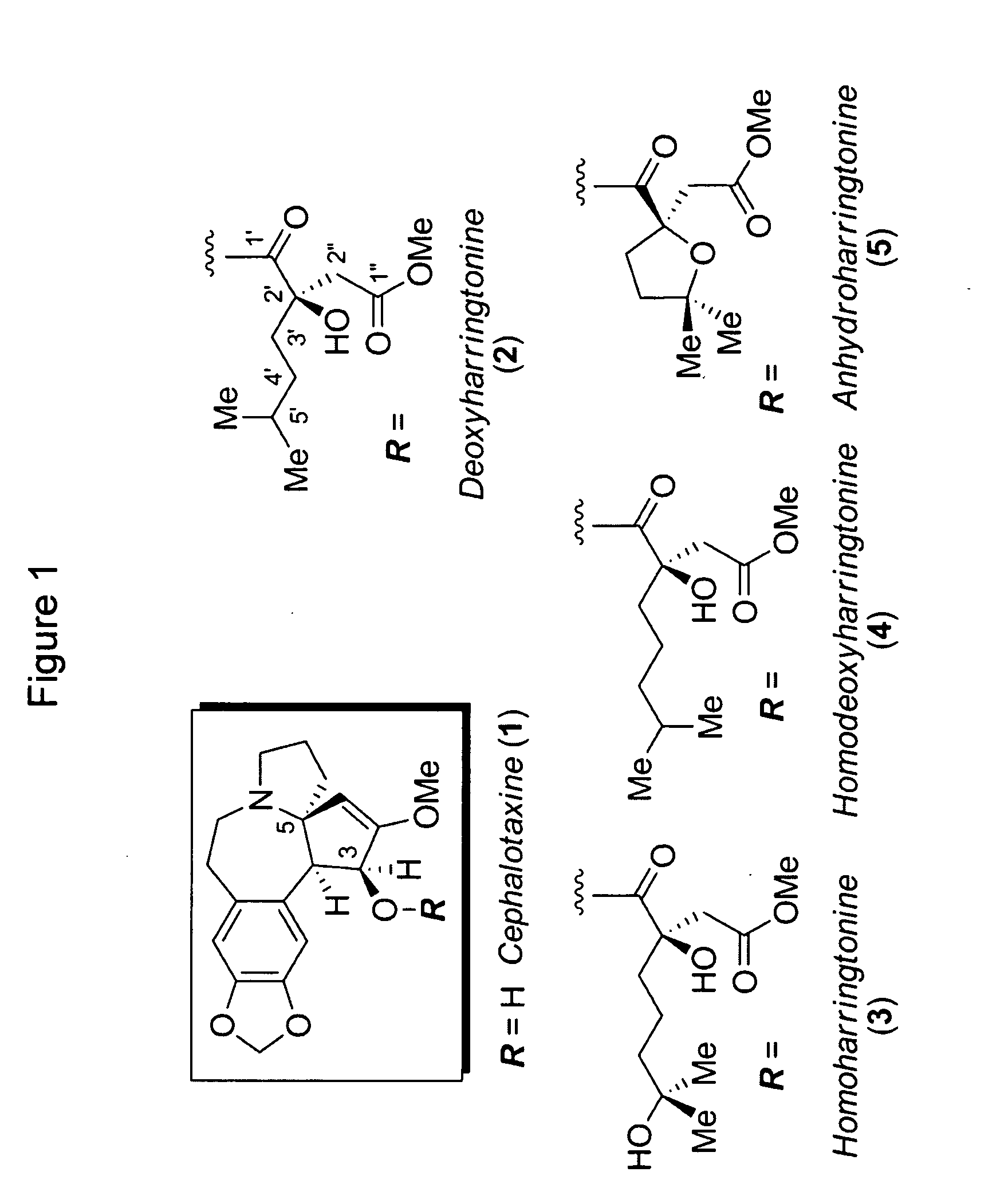 Cephalotaxus esters, methods of synthesis, and uses thereof