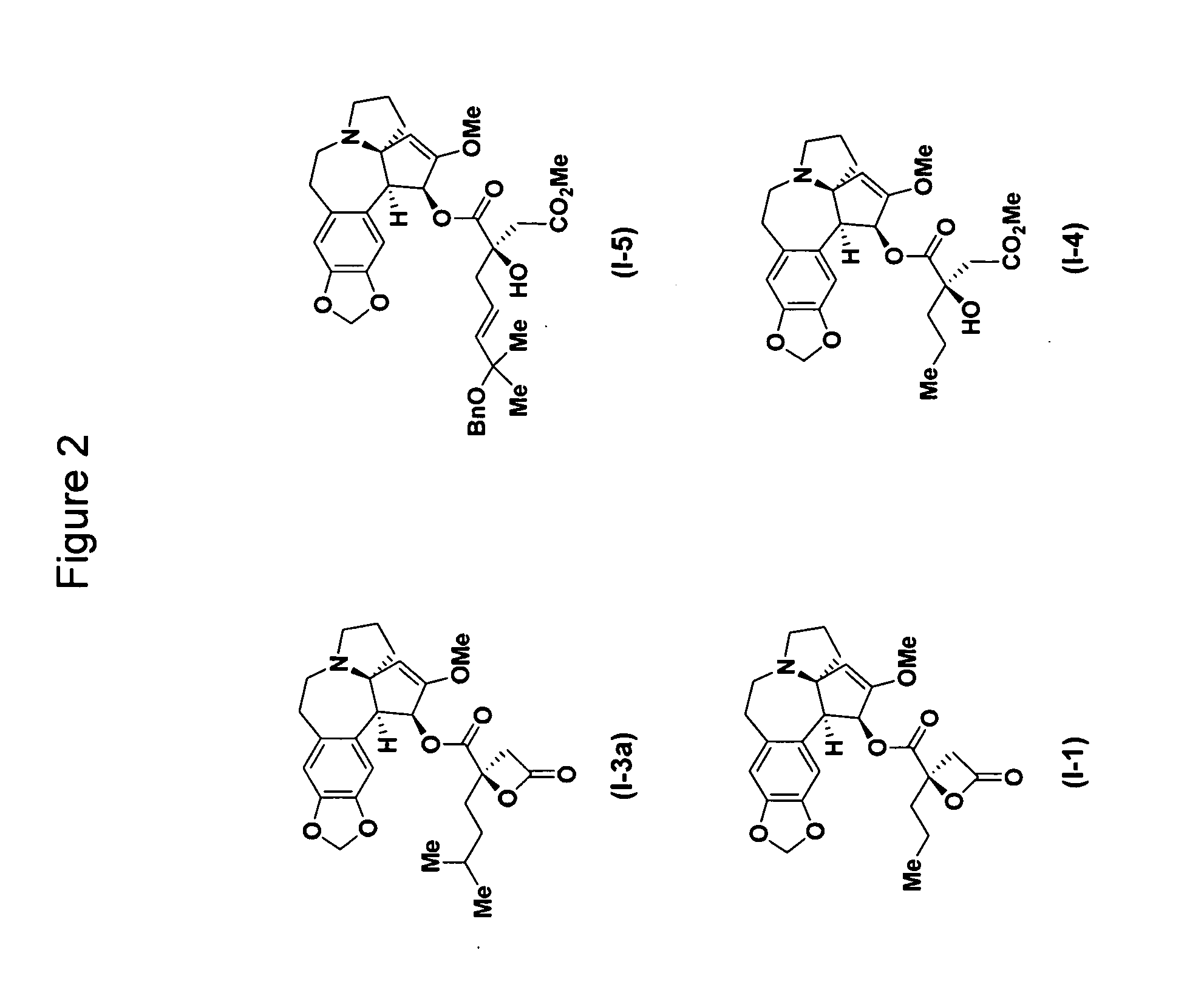 Cephalotaxus esters, methods of synthesis, and uses thereof