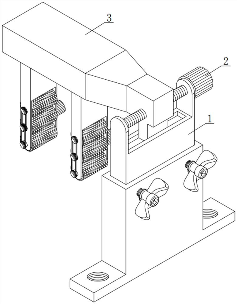 Heart failure patient nursing device for cardiologists and implementation method thereof