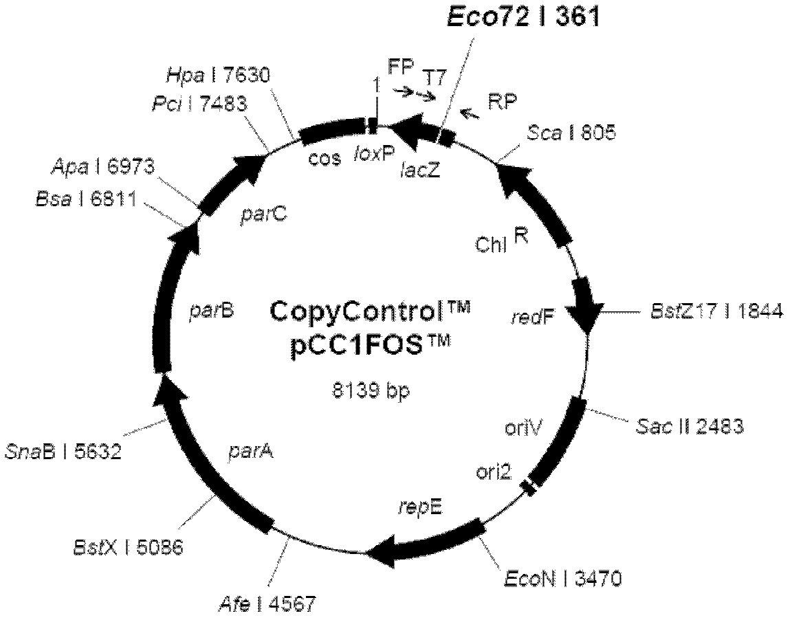 Recombinant duck enteritis virus (DEV) vaccine strain for expressing avian influenza virus haemagglutinin (HA) gene and constructing method and application thereof