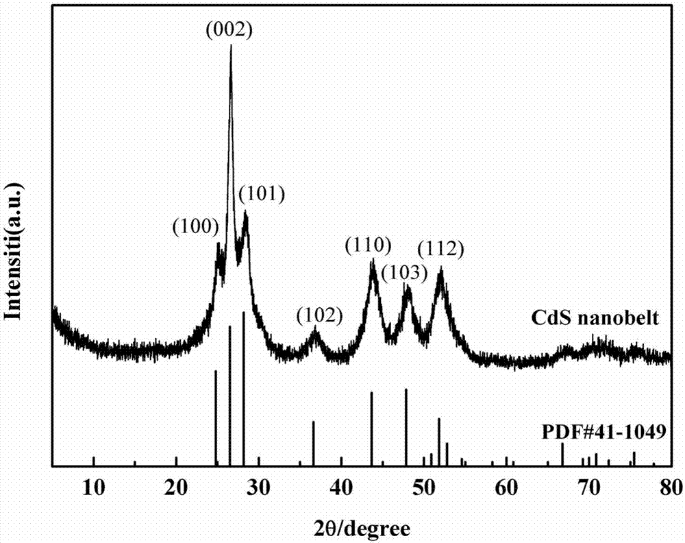 Preparation method of exposing high-energy (001) crystal face ultrathin CdS nanobelt