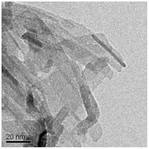 Preparation method of exposing high-energy (001) crystal face ultrathin CdS nanobelt