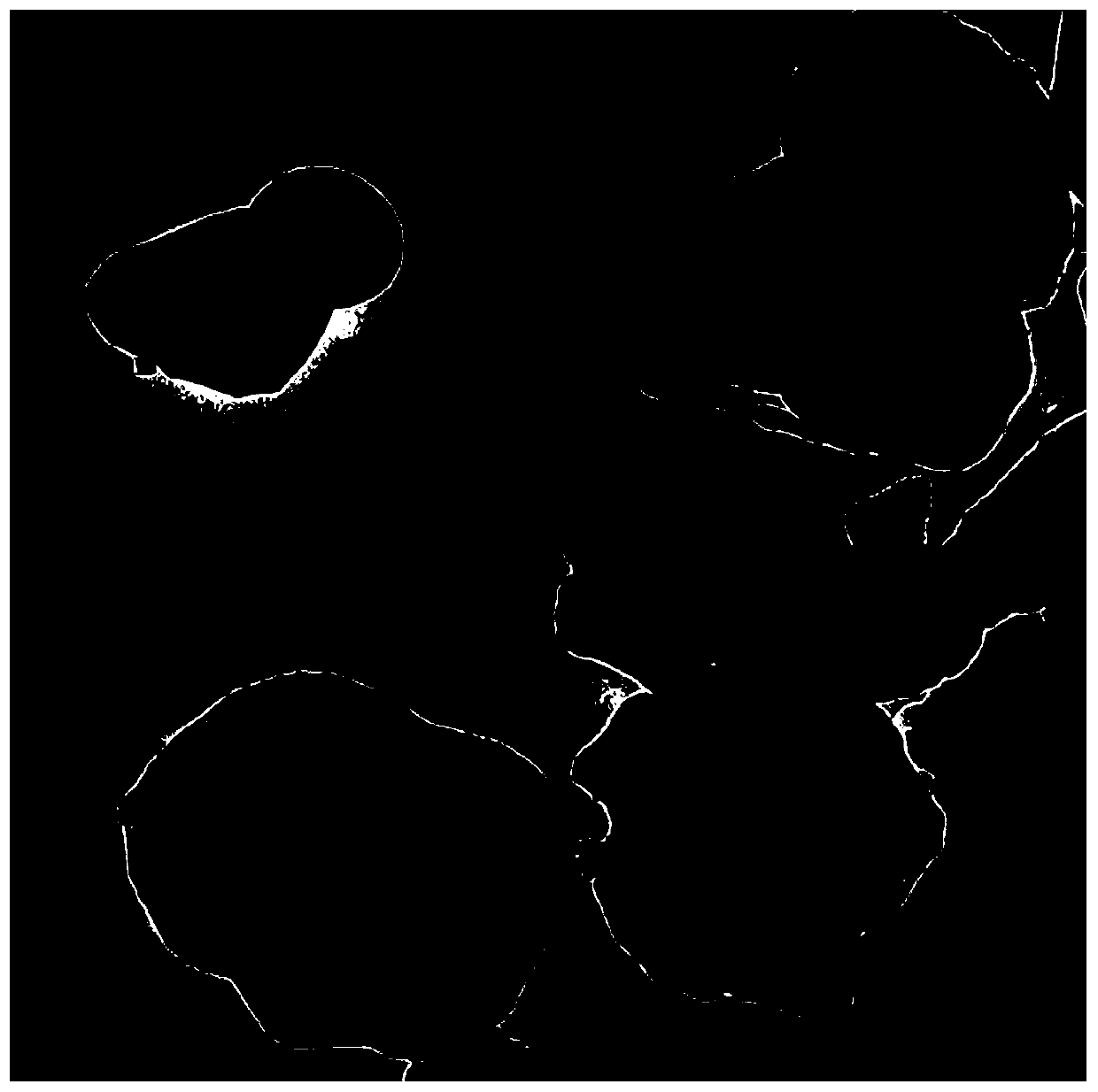 Preparation method of composite electrode material with foamed coating layer