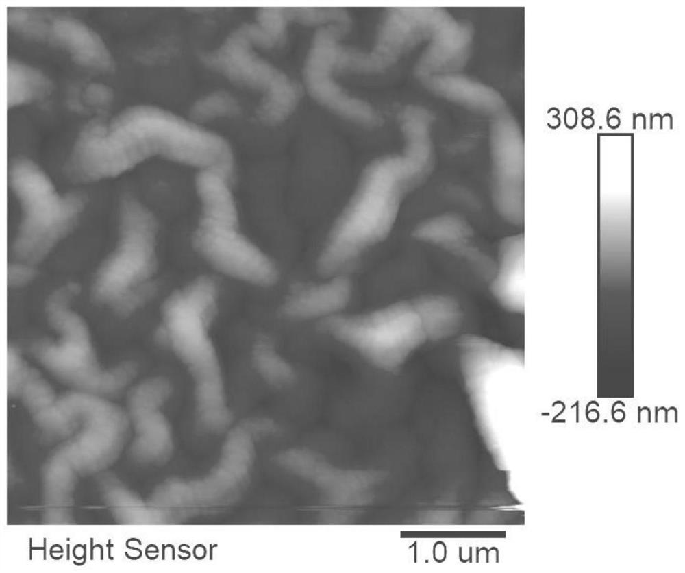 Preparation method and application of molybdenum disulfide nano dot hybrid nano-filtration membrane