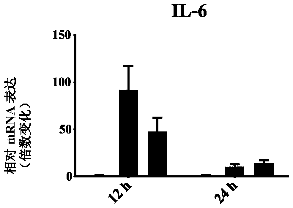 Application of eight-jewel elixir in preparing drugs for preventing or treating diseases related with IL-6inflammatory factor storm