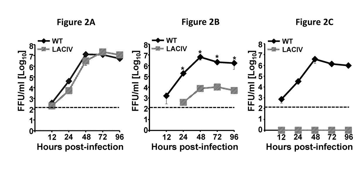 Live-Attenuated Vaccine Having Mutations in Viral Polymerase for the Treatment and Prevention of Canine Influenza Virus