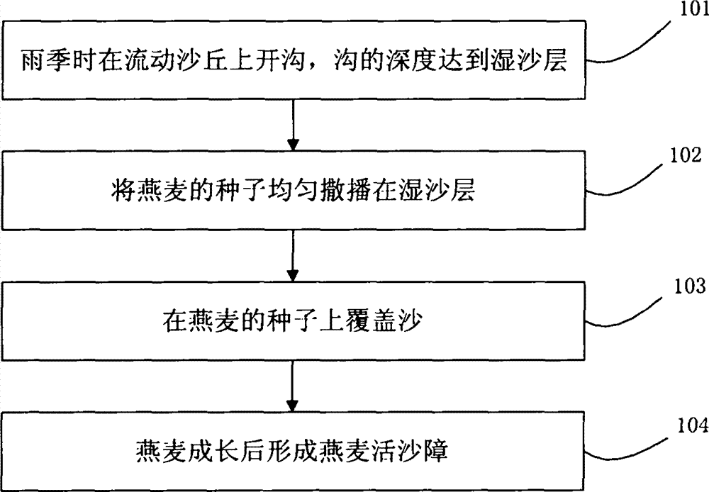 Method for arranging movable oat sand-protecting barrier on moving dune