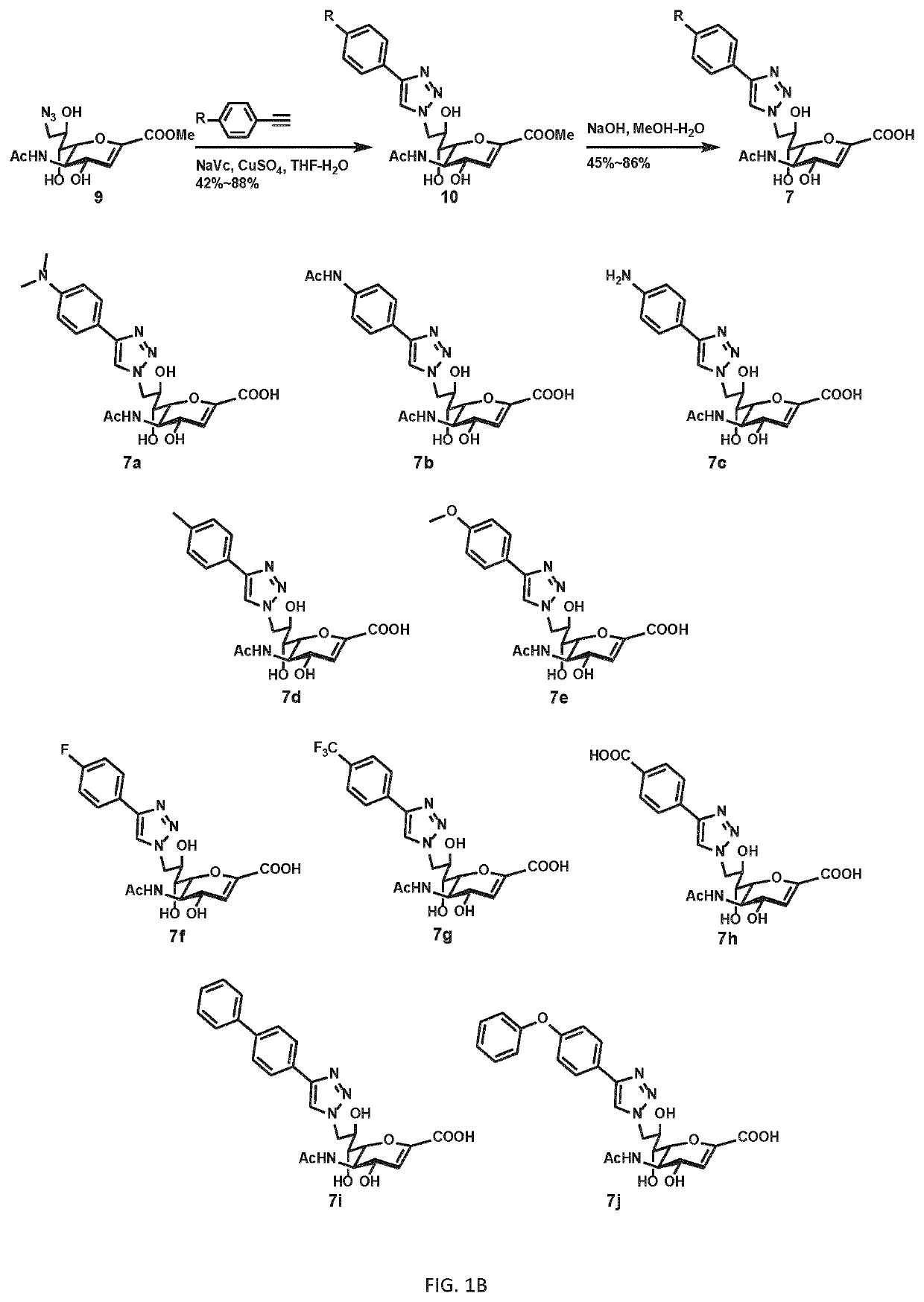 Methods of modulating leukocytes activation and thrombocyte clearance with inhibitors of specific neuraminidase isoenzymes