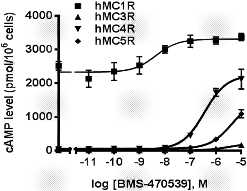 Application of non-peptide small-molecular compound as MC4R (melanocortin-4 receptor) agonist and specific mutant medicine mate thereof