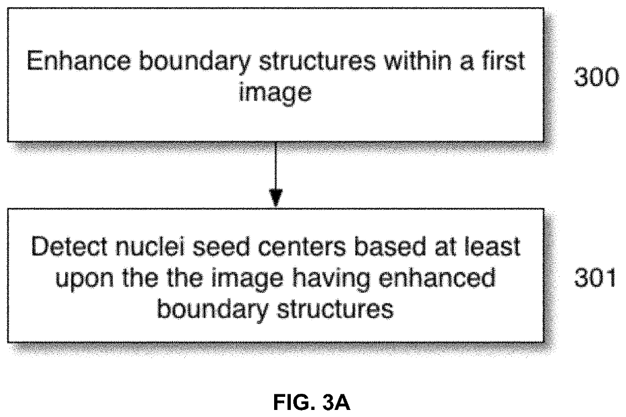 Image enhancement to enable improved nuclei detection and segmentation