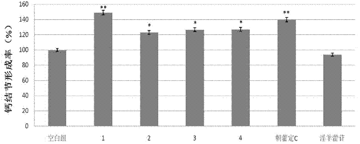 Isopentene flavonol glycoside derivative and preparation method and application thereof