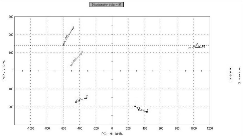 Taste peptide of straw mushroom and its preparation method and application