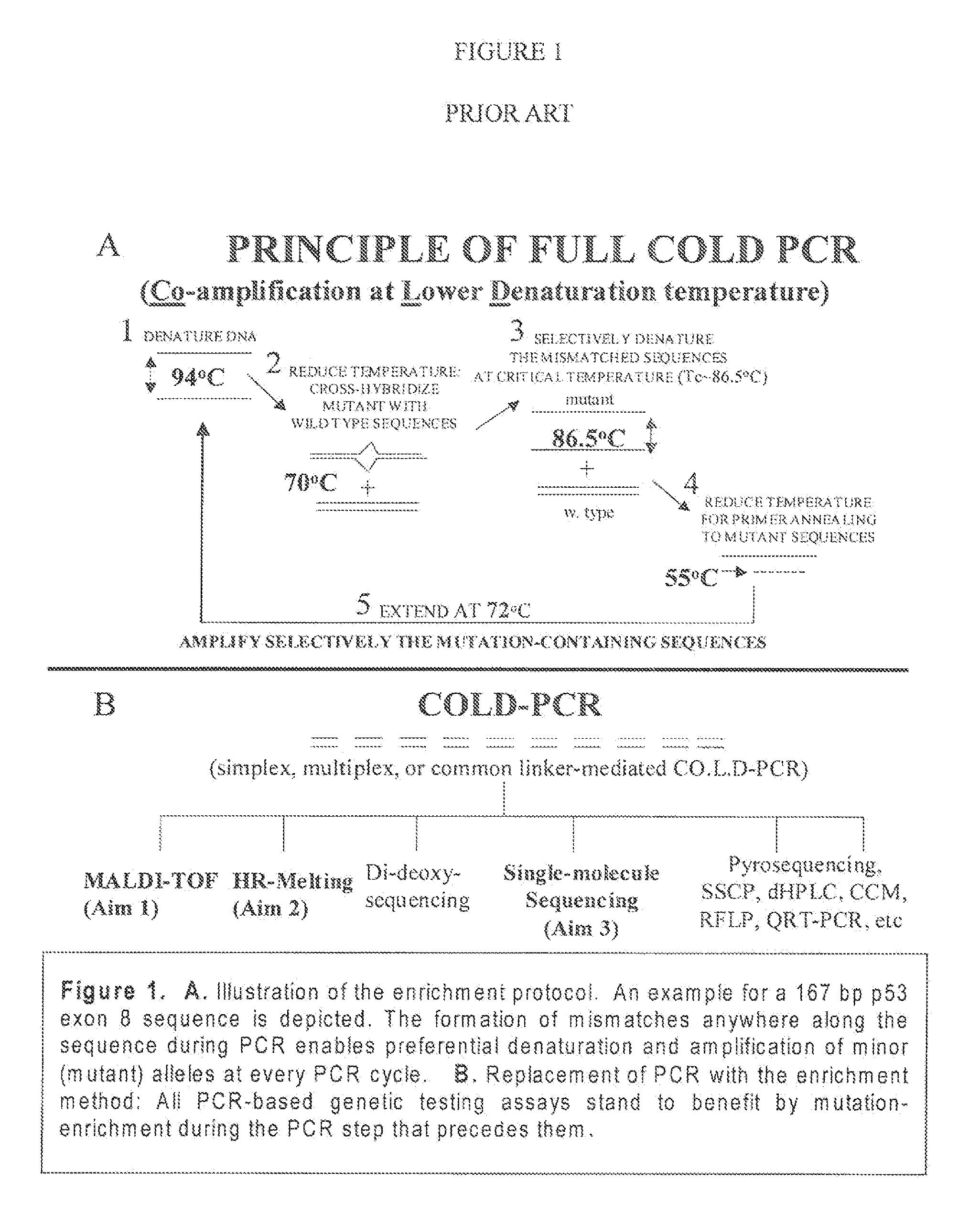 Step-up method for cold-pcr enrichment