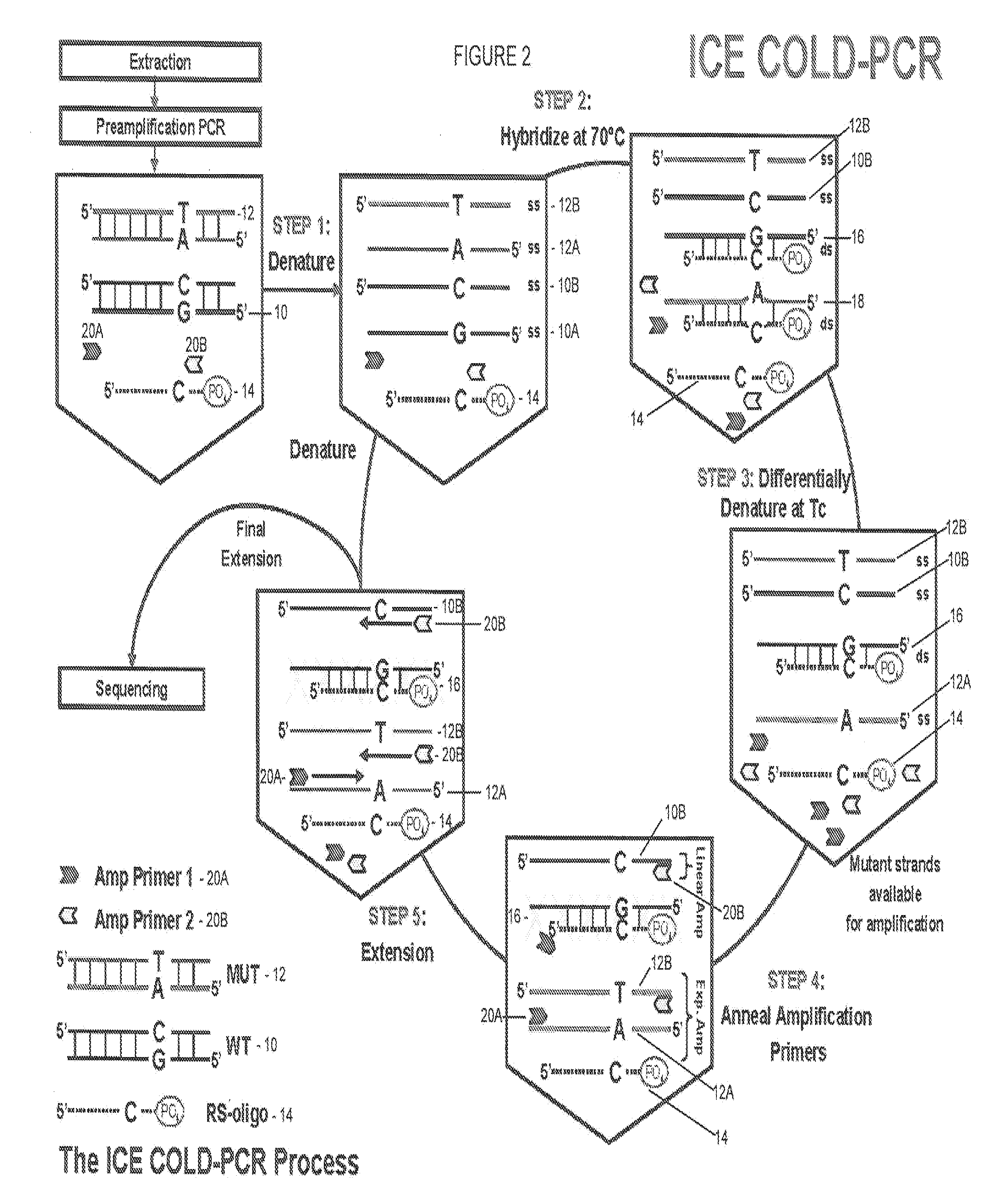 Step-up method for cold-pcr enrichment