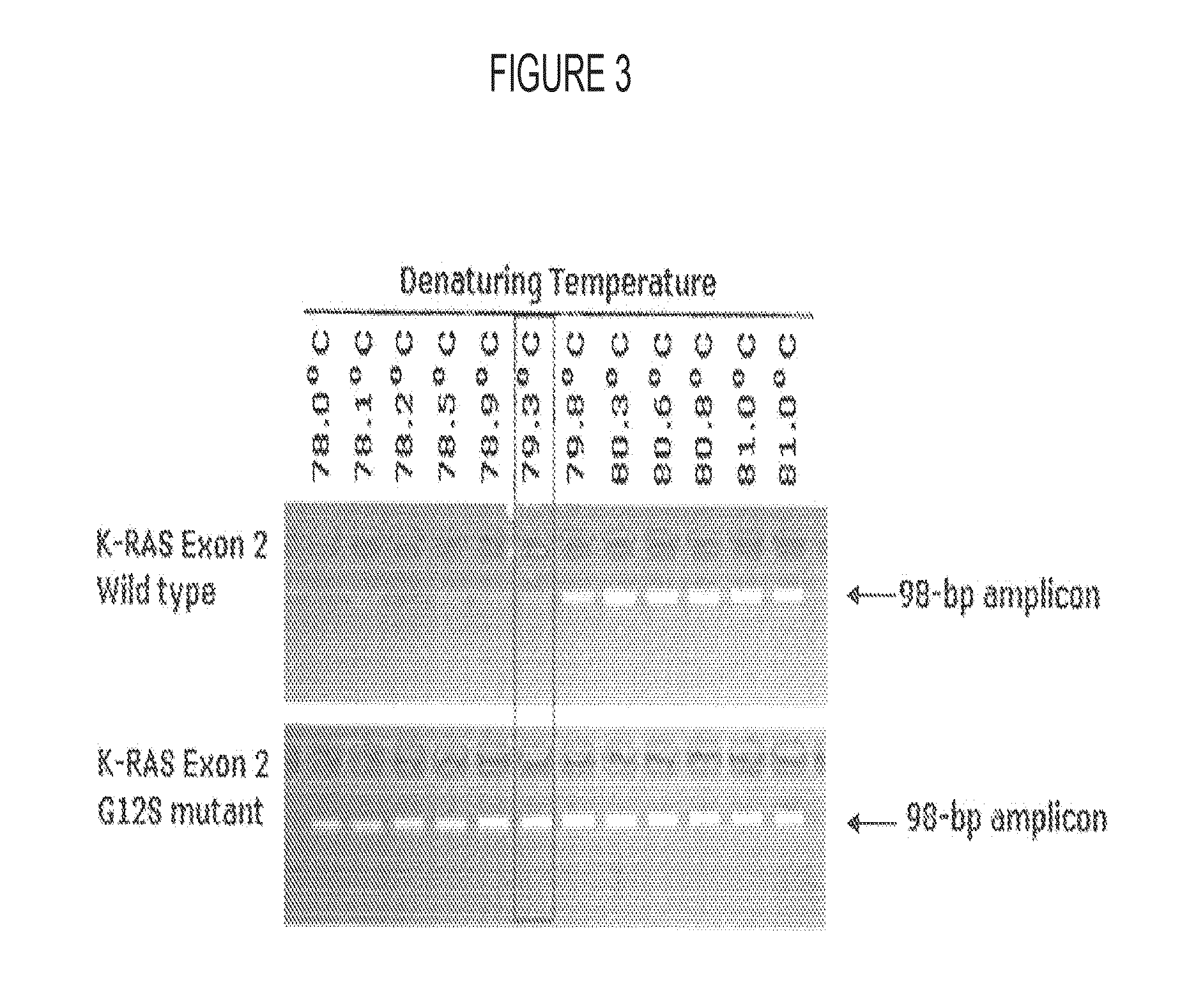 Step-up method for cold-pcr enrichment