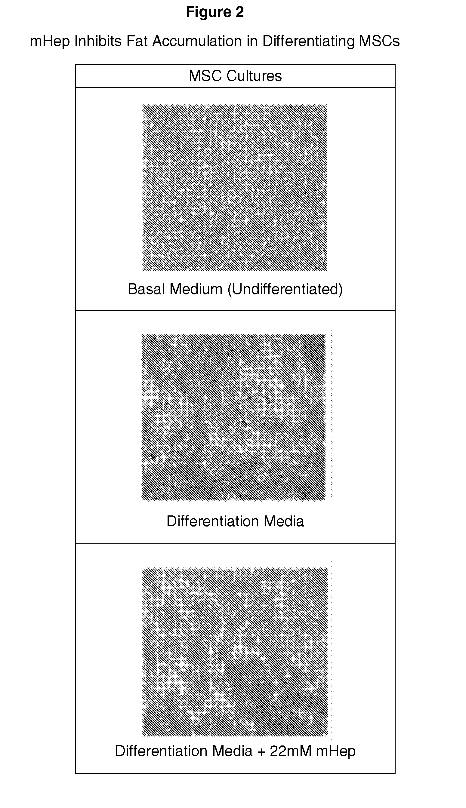 Methods of treating or preventing overweight and obsesity in mammals by administering a composition comprising mannoheptulose