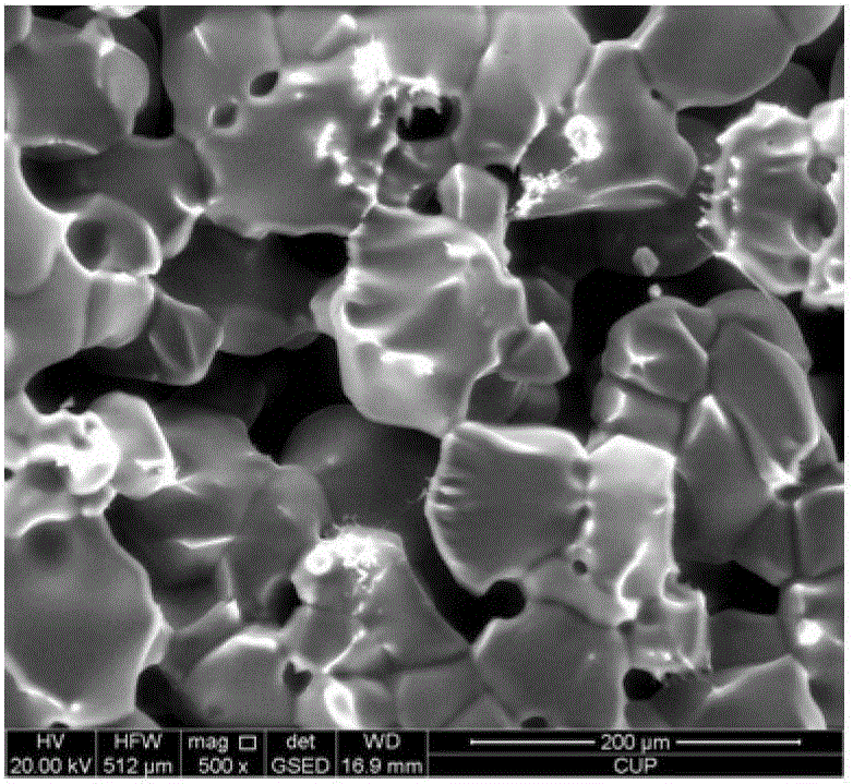 Environmental scanning electron microscope detection method of a kind of hydration molecular form of polymer