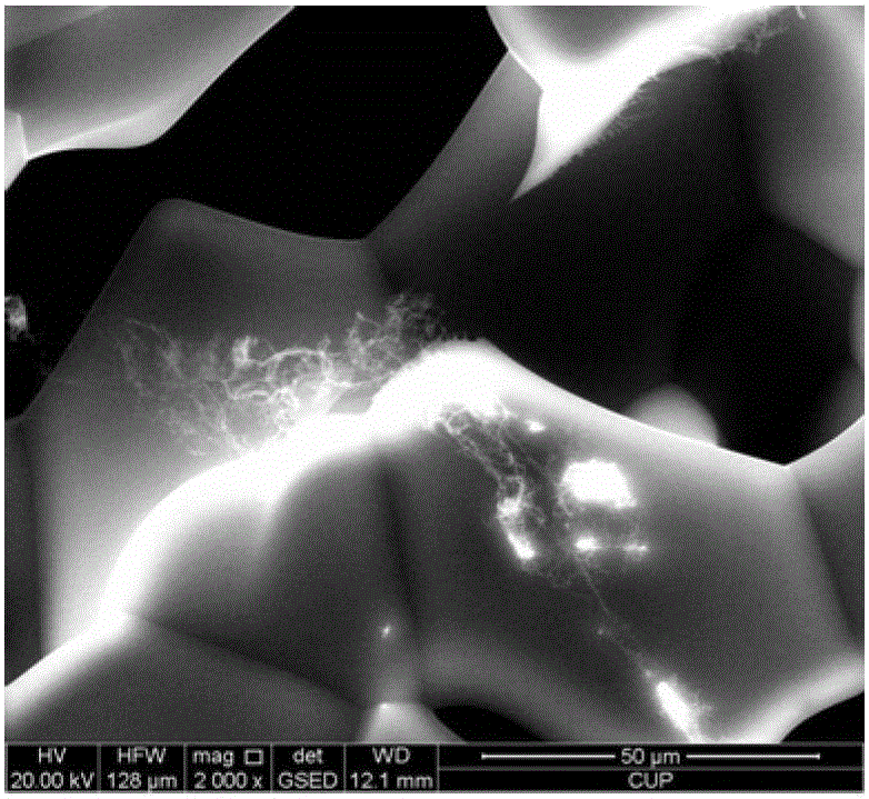 Environmental scanning electron microscope detection method of a kind of hydration molecular form of polymer