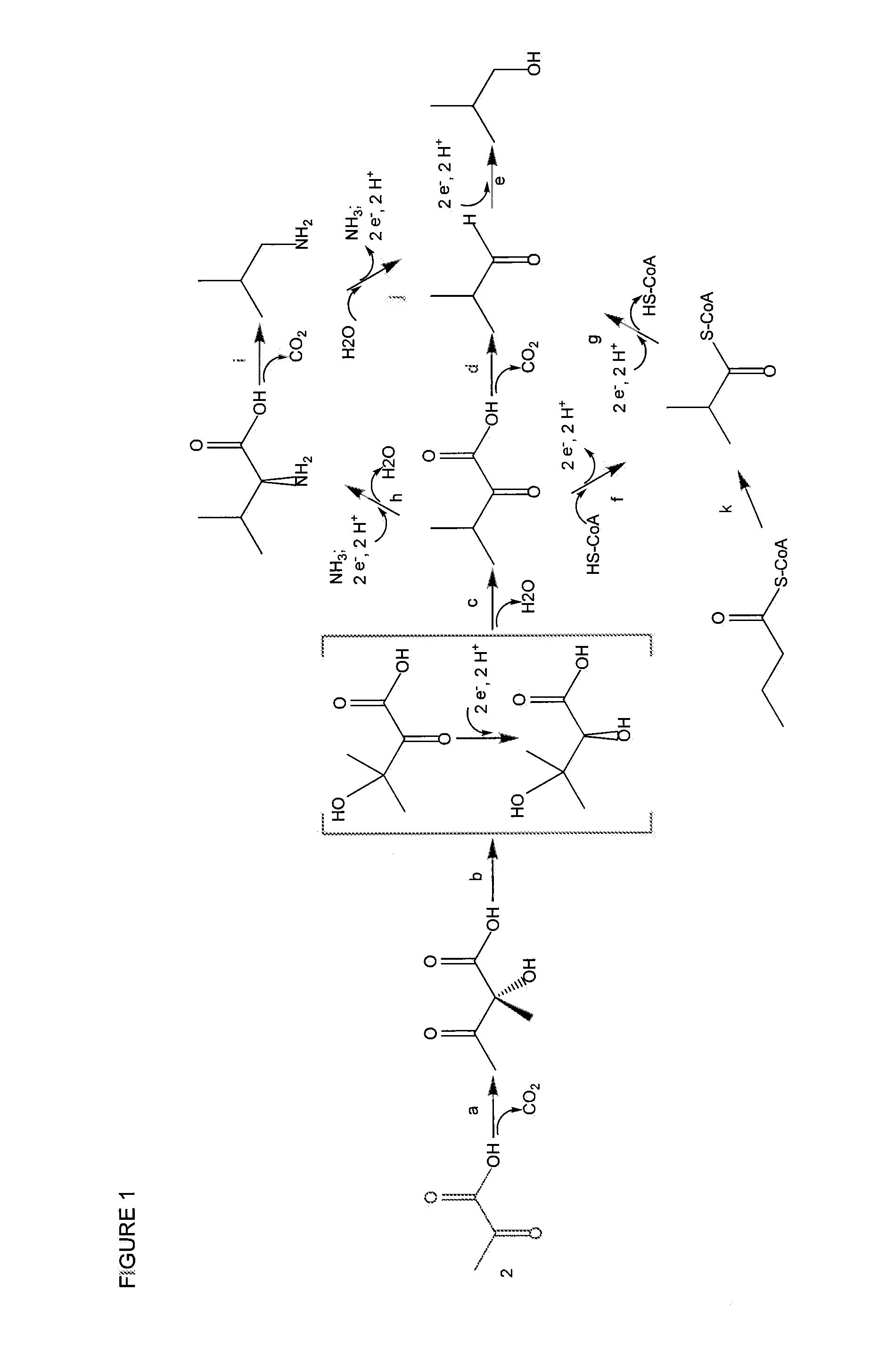 Ketol-acid reductoisomerase enzymes and methods of use