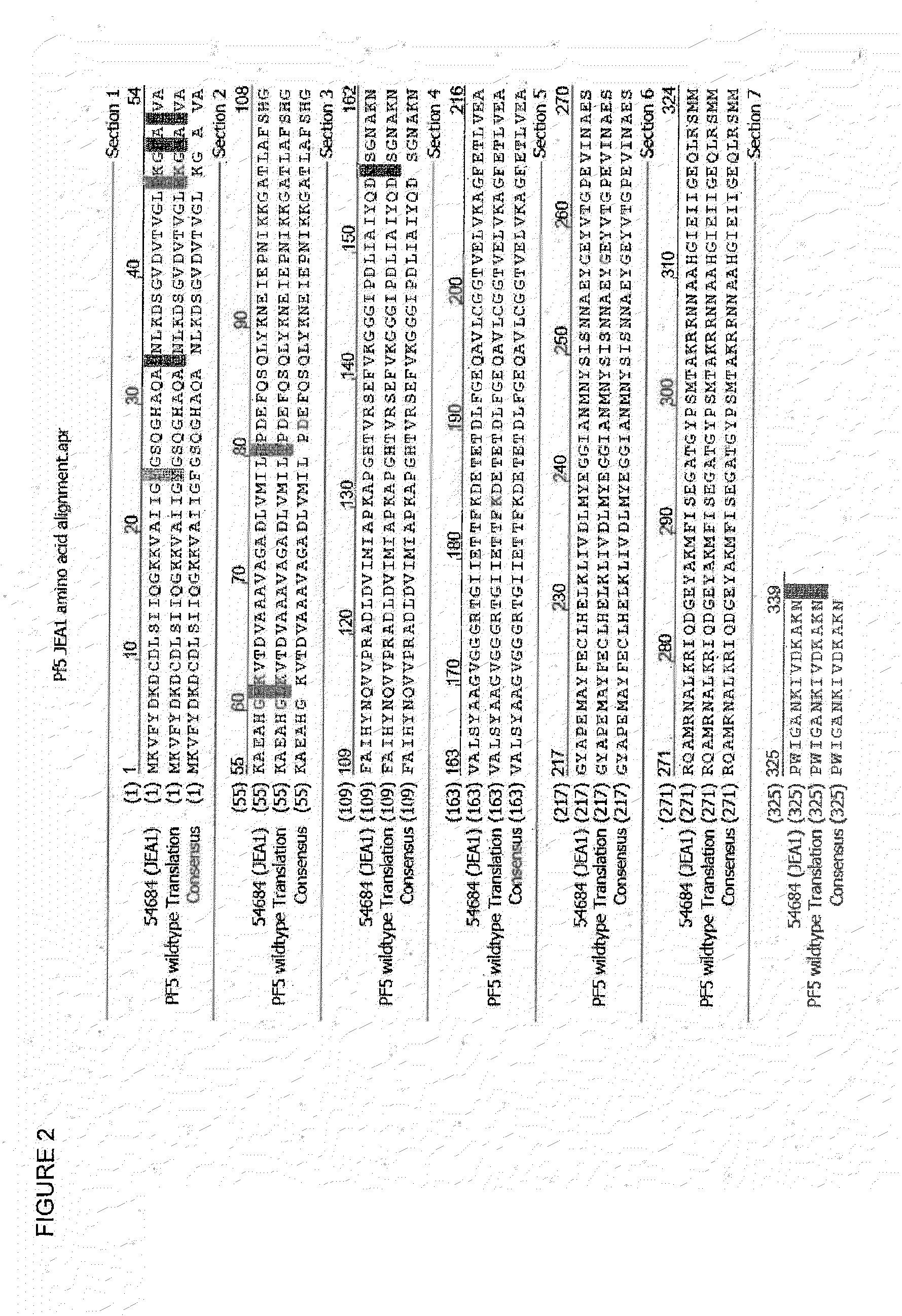 Ketol-acid reductoisomerase enzymes and methods of use