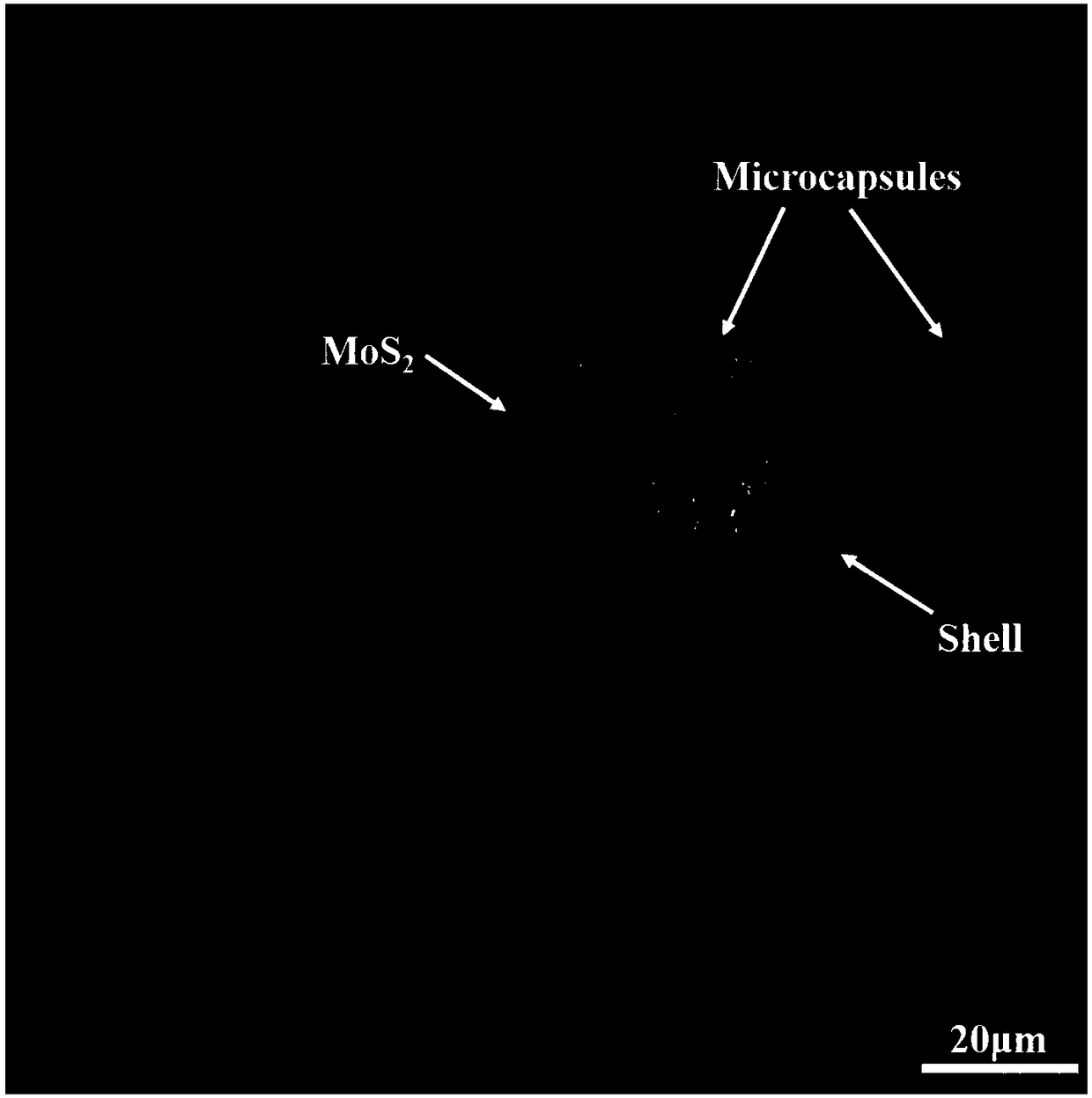 Bionic microcapsule containing molybdenum disulfide and preparing method and application of microcapsule