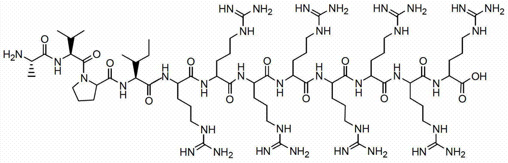 Bifunctional peptide, complex formed of said bifunctional peptide and nucleic acid molecule, and pharmaceutical composition for treating tumors