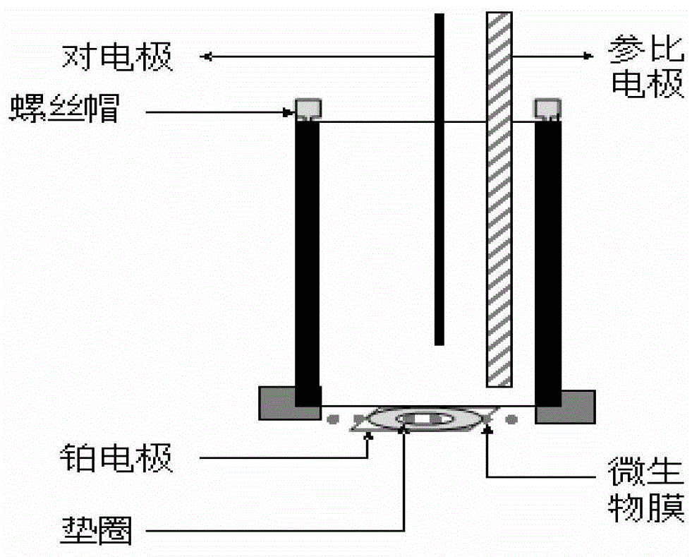 Preparation method, application, device and detection method of disposable microbial film sensor capable of rapidly detecting water biotoxicity