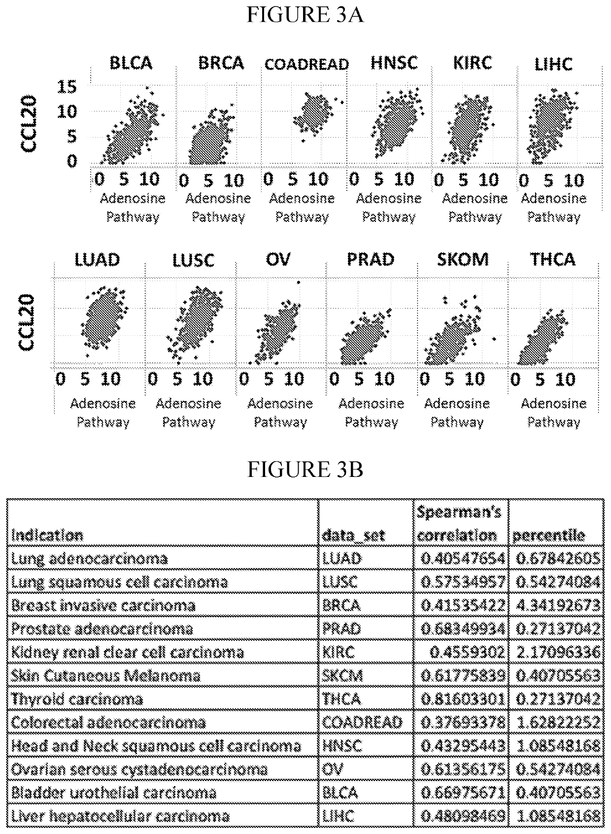 Methods for detecting and treating cancers having adenosine pathway activation