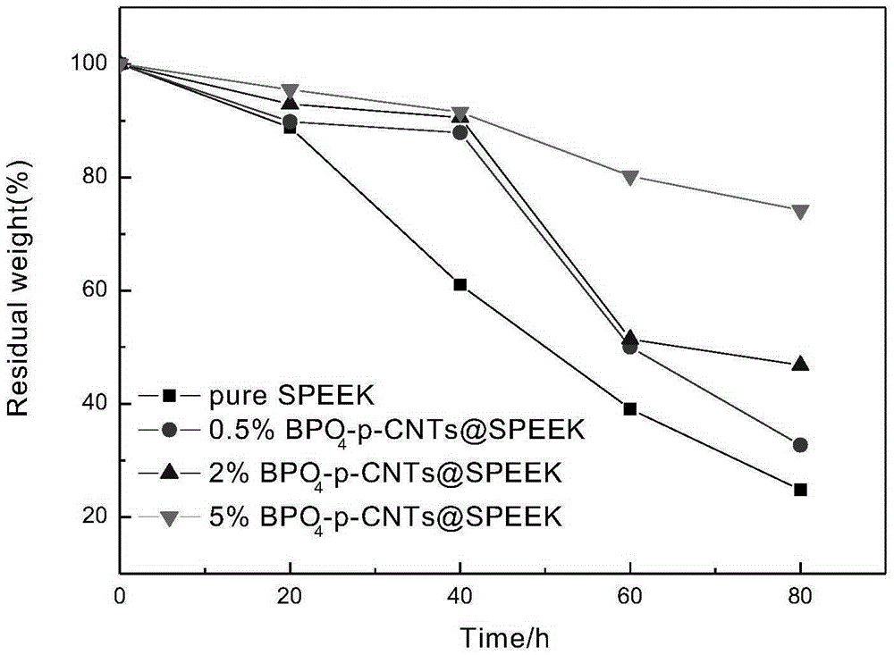Method for preparing boron phosphate coated carbon nanotube composite proton exchange membrane