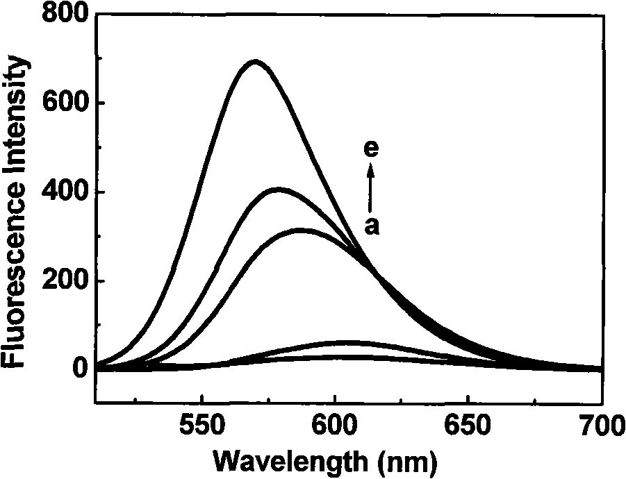 Polar sensitive fluorescent probe compounds for arginine residue marker, preparation and use thereof