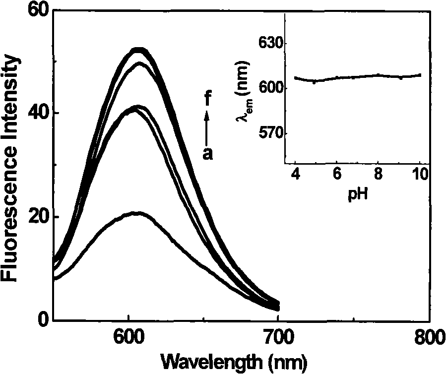 Polar sensitive fluorescent probe compounds for arginine residue marker, preparation and use thereof