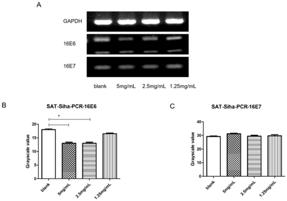 Traditional Chinese medicine composition for treating flat wart and restraining HPV16 and preparation method and application of traditional Chinese medicine composition