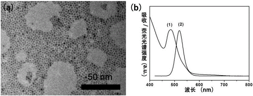 Method for preparing oil-soluble selenium or telluride semiconductor quantum dot without phosphine through dissolving chalcogenide oxide by alkanethiol