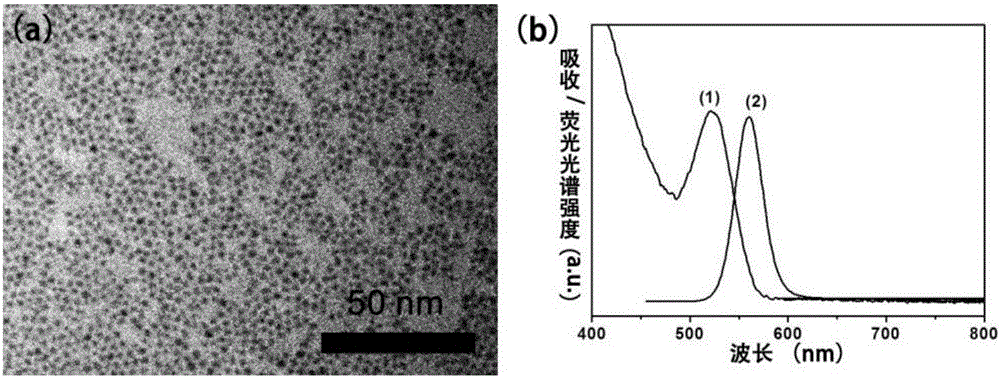 Method for preparing oil-soluble selenium or telluride semiconductor quantum dot without phosphine through dissolving chalcogenide oxide by alkanethiol