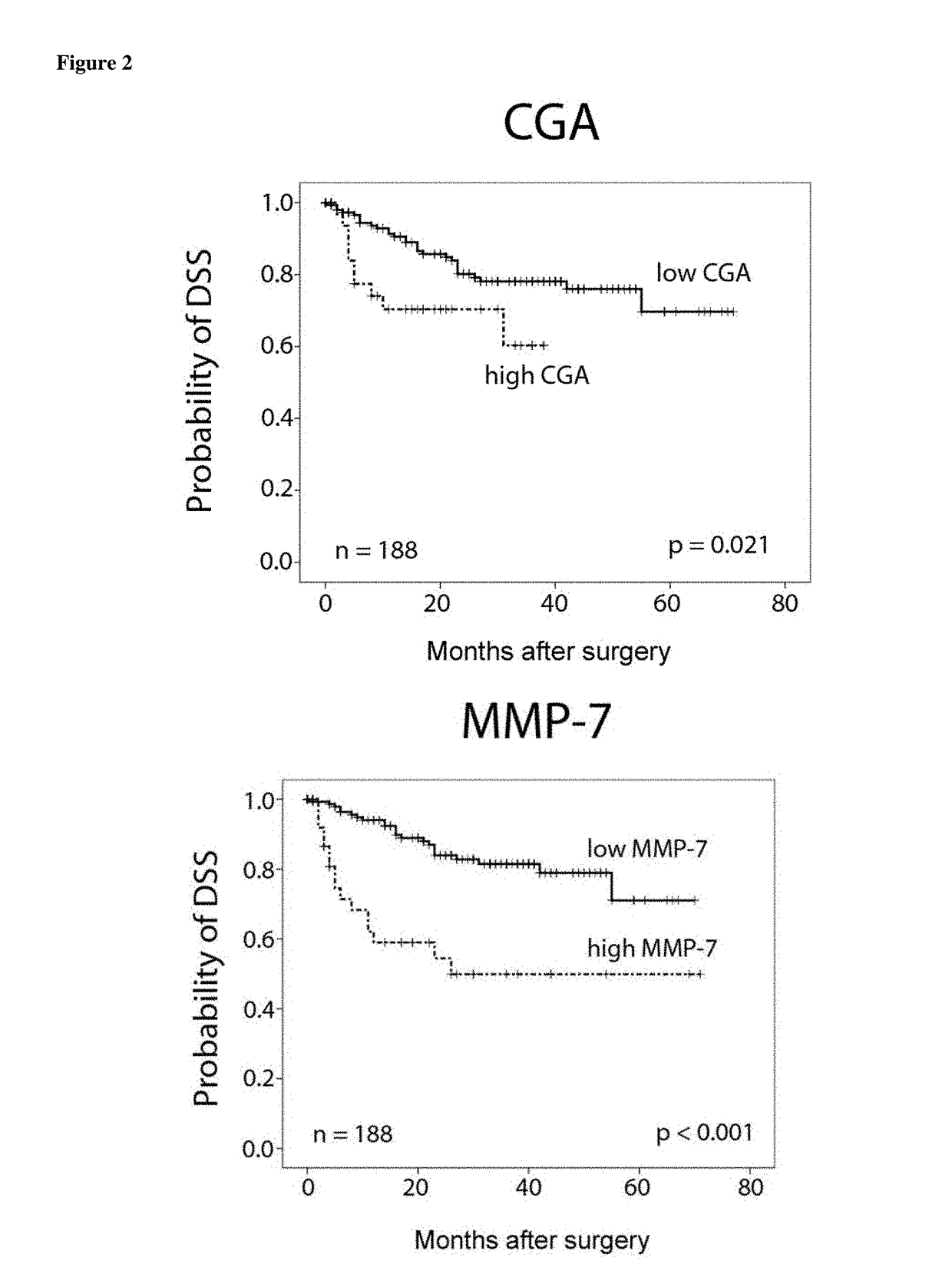 Chromogranin a as a marker for bladder cancer