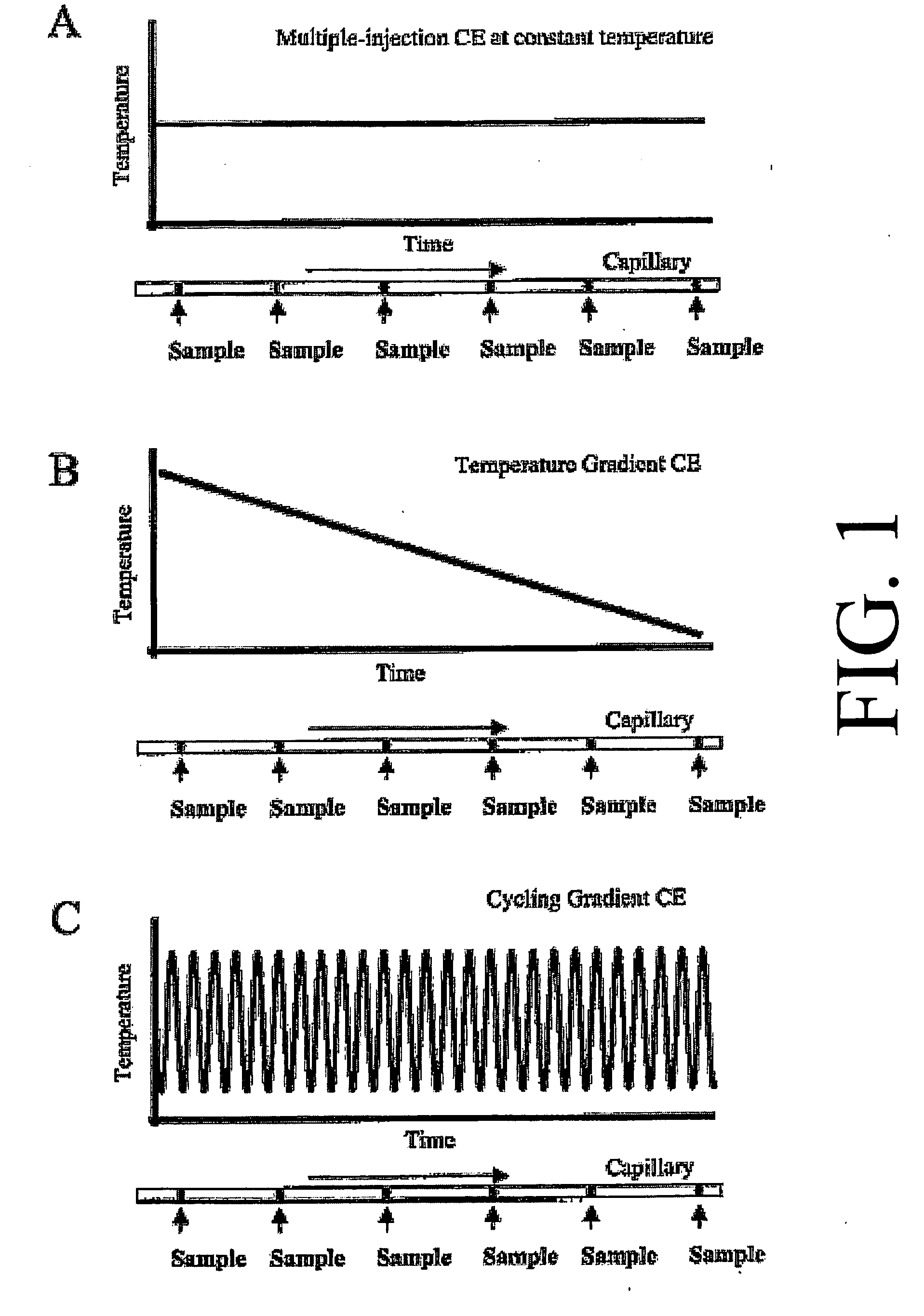 Oscillating temperature capillary electrophoresis and uses therefor
