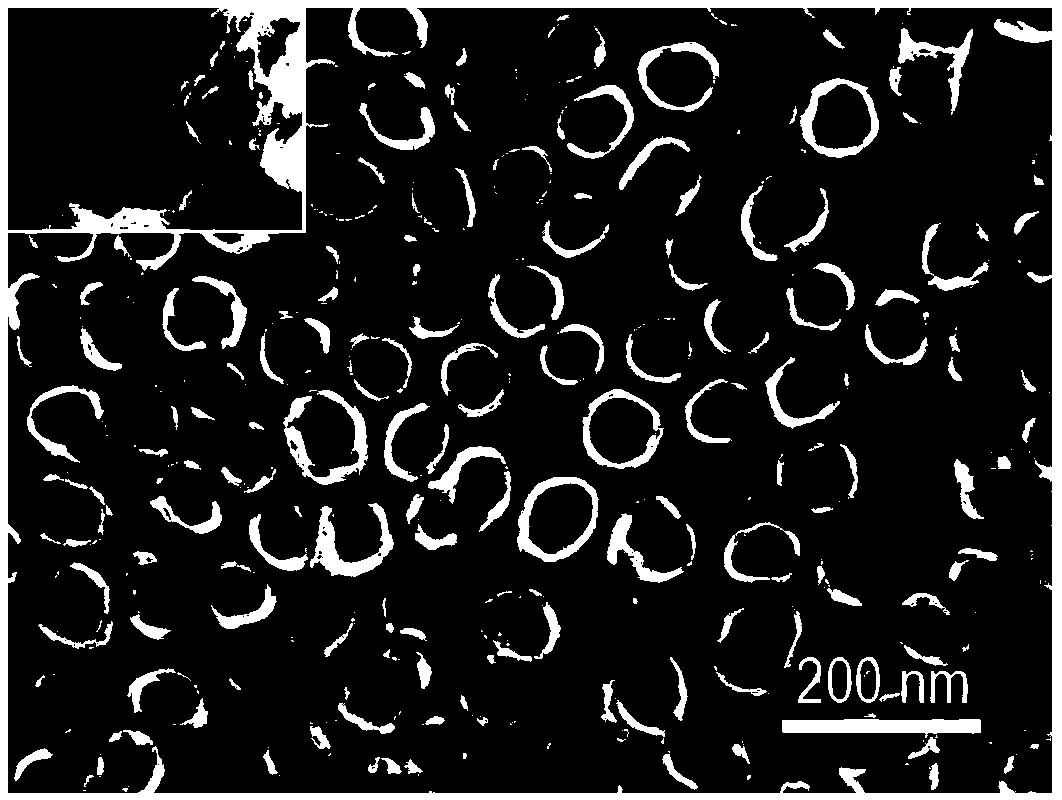 One-Step Preparation of Polyaniline-TiO2 Nanotube Array Composite Electrode