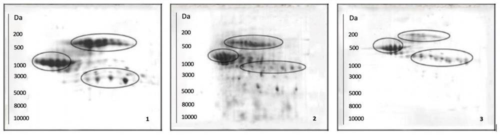 Cubilose extraction method, cubilose extract and cubilose product